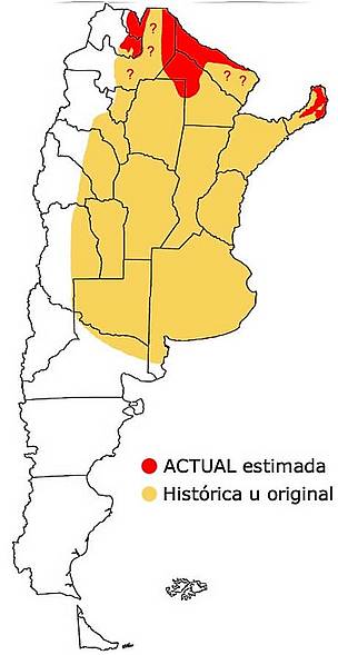  / ©: Distribucion original y actual del yaguarete en la Argentina