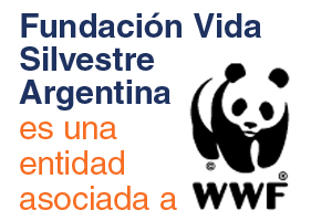 La Fundación Vida Silvestre Argentina es una entidad asociada a la Organización Mundial de ... / ©: WWF FVSA / ©: WWF FVSA