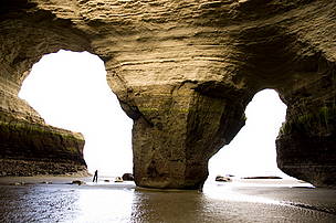 / ©: Parque Nacional Monte León, provincia de Santa Cruz / ©: Parque Nacional Monte León, provincia de Santa Cruz